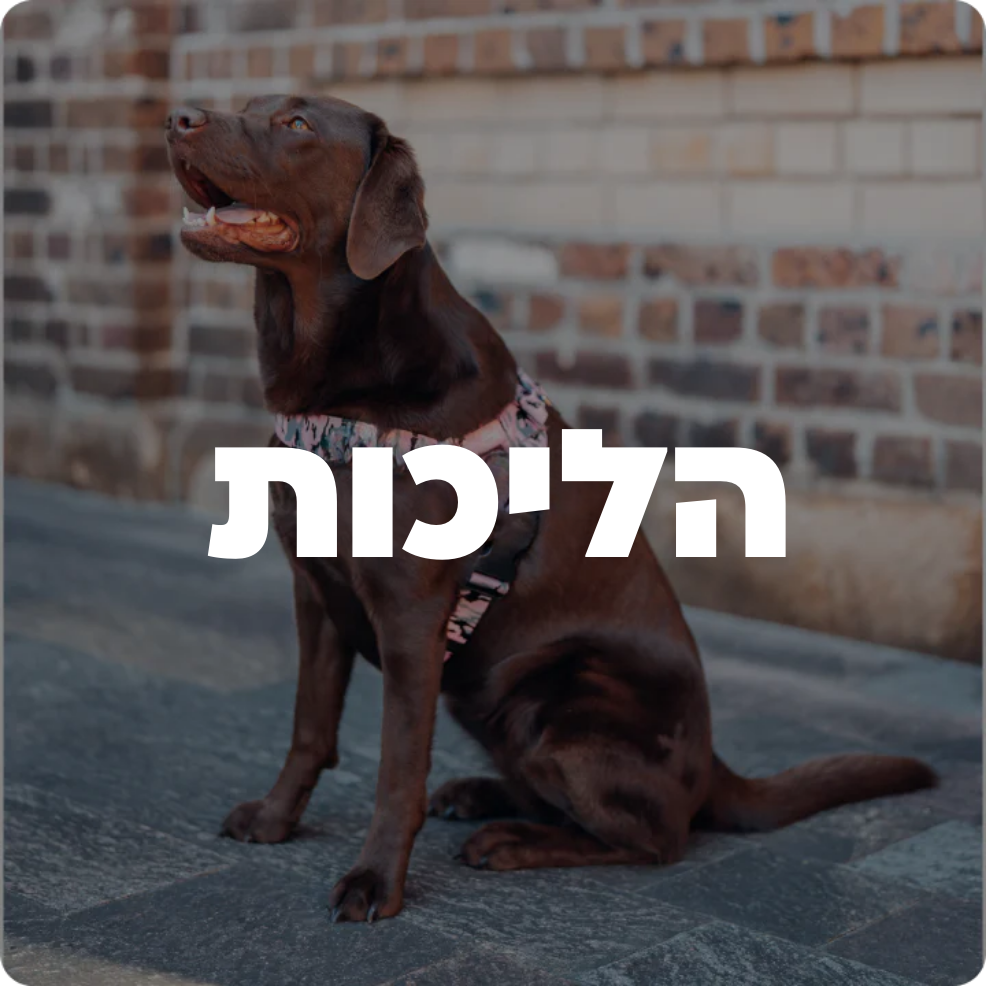 הליכות