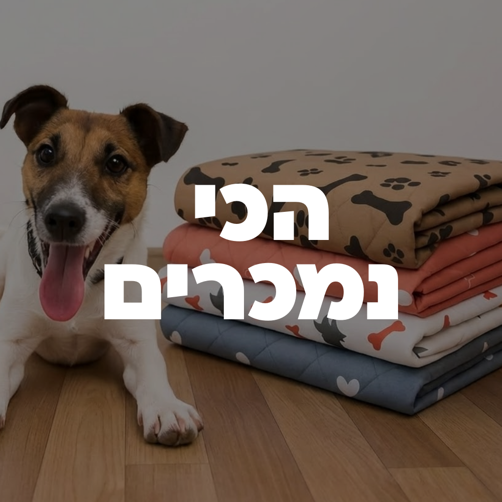הכי נמכרים