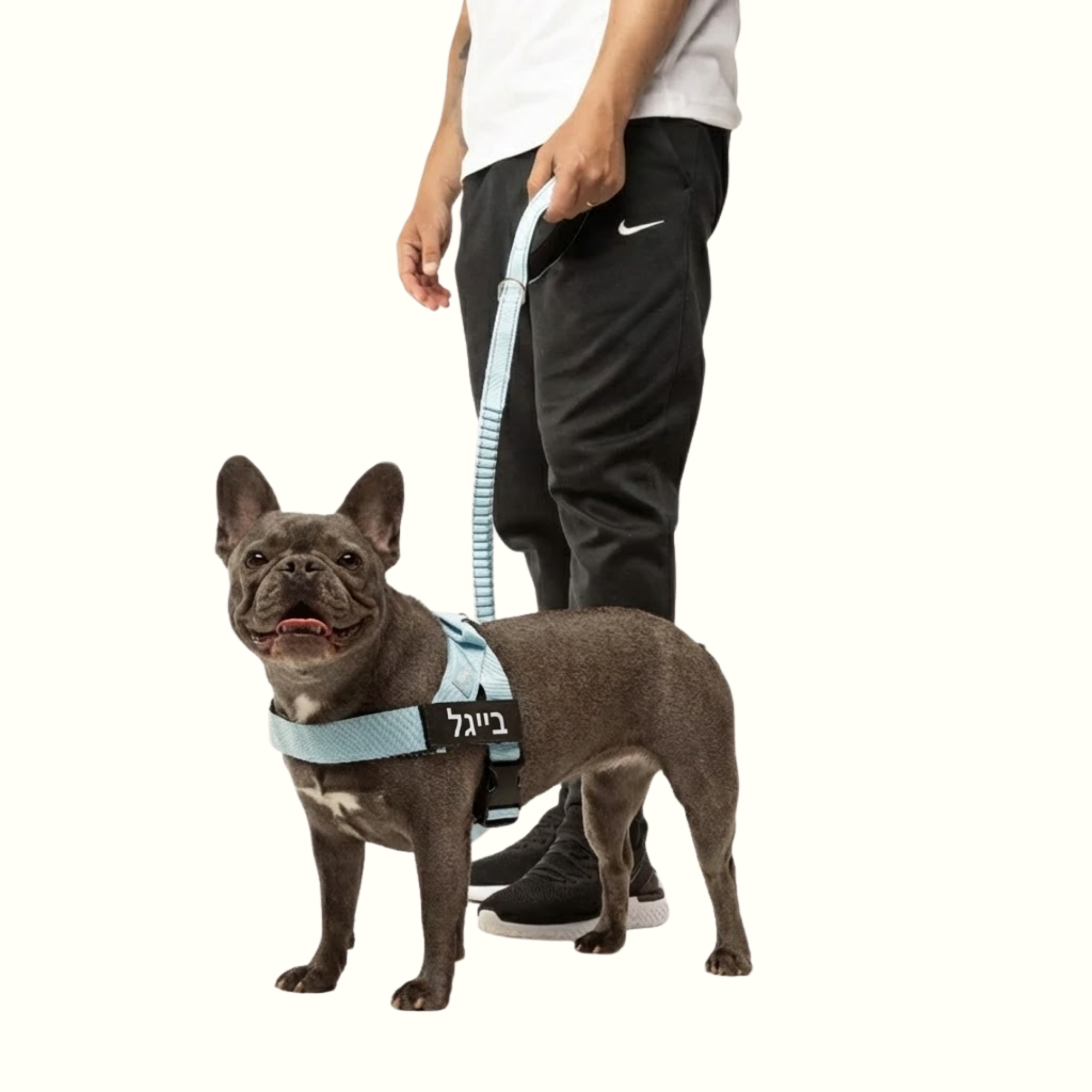 רתמת פאפי לכלב