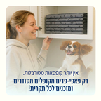 פאפי פד - פד השתן האחרון שתקנו