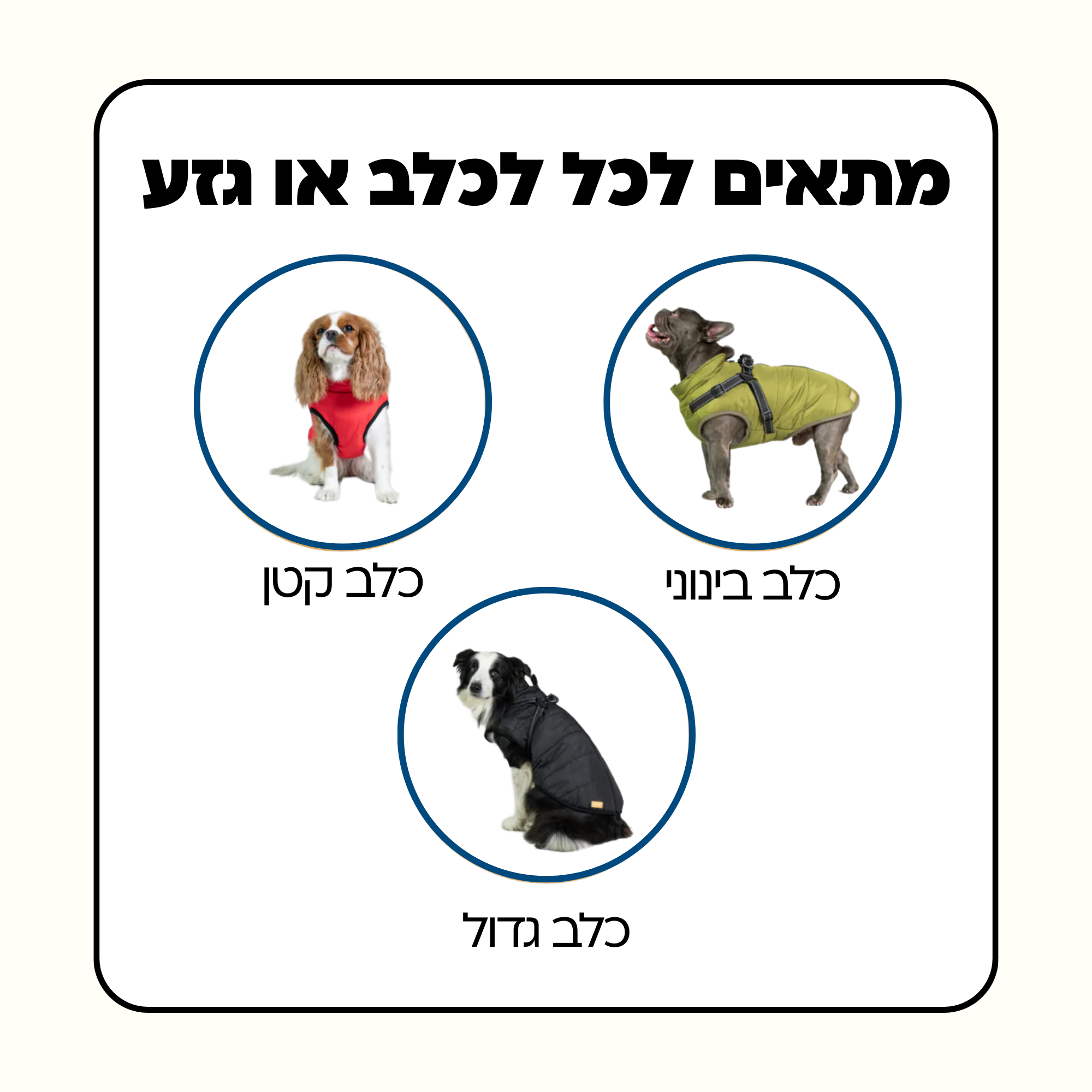 מעיל פאפי לכלב