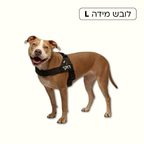 רתמת פאפי לכלב