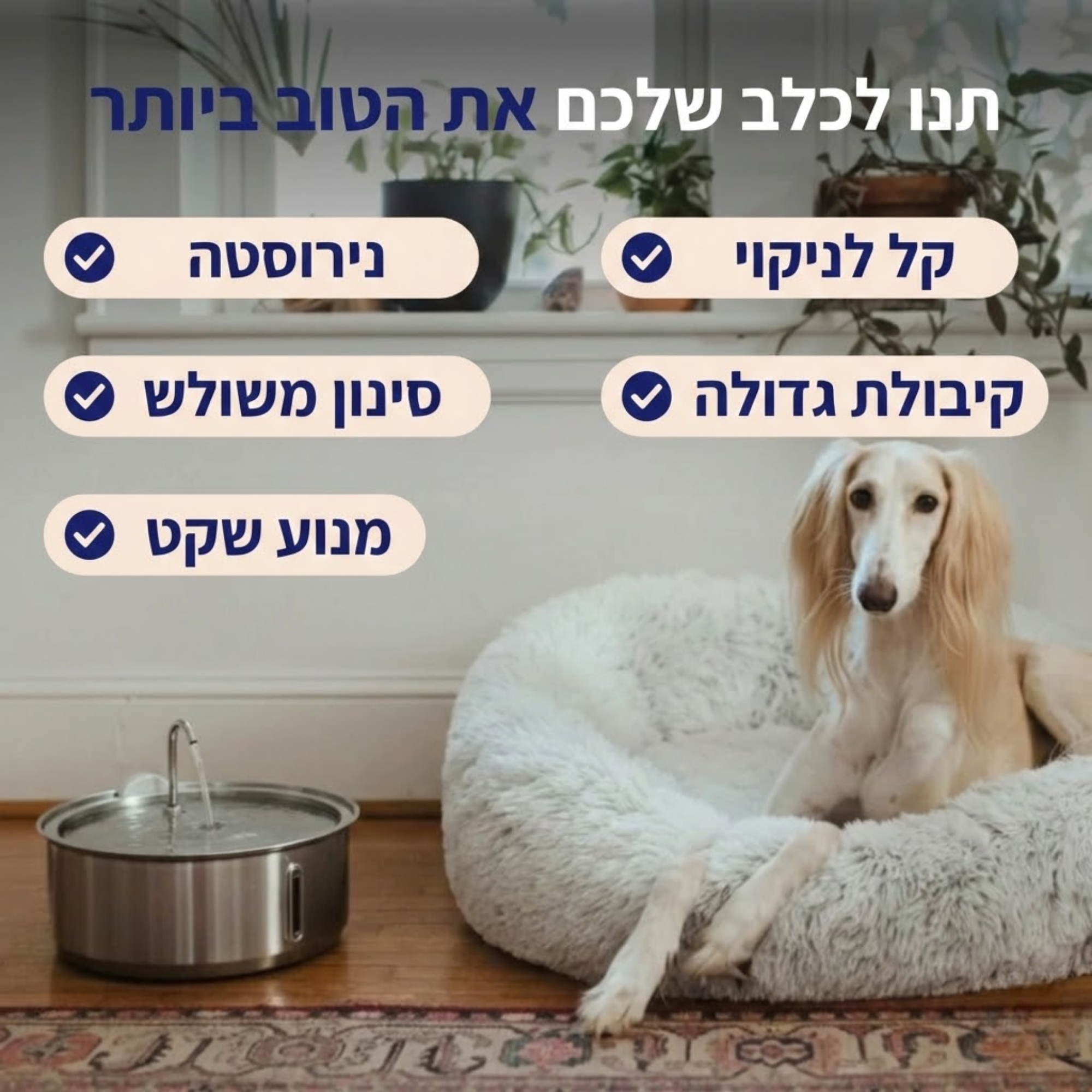 מזרקת מים לכלב