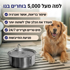 מזרקת מים לכלב