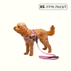 רתמת פאפי לכלב