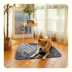 פאפי פד - פד השתן האחרון שתקנו