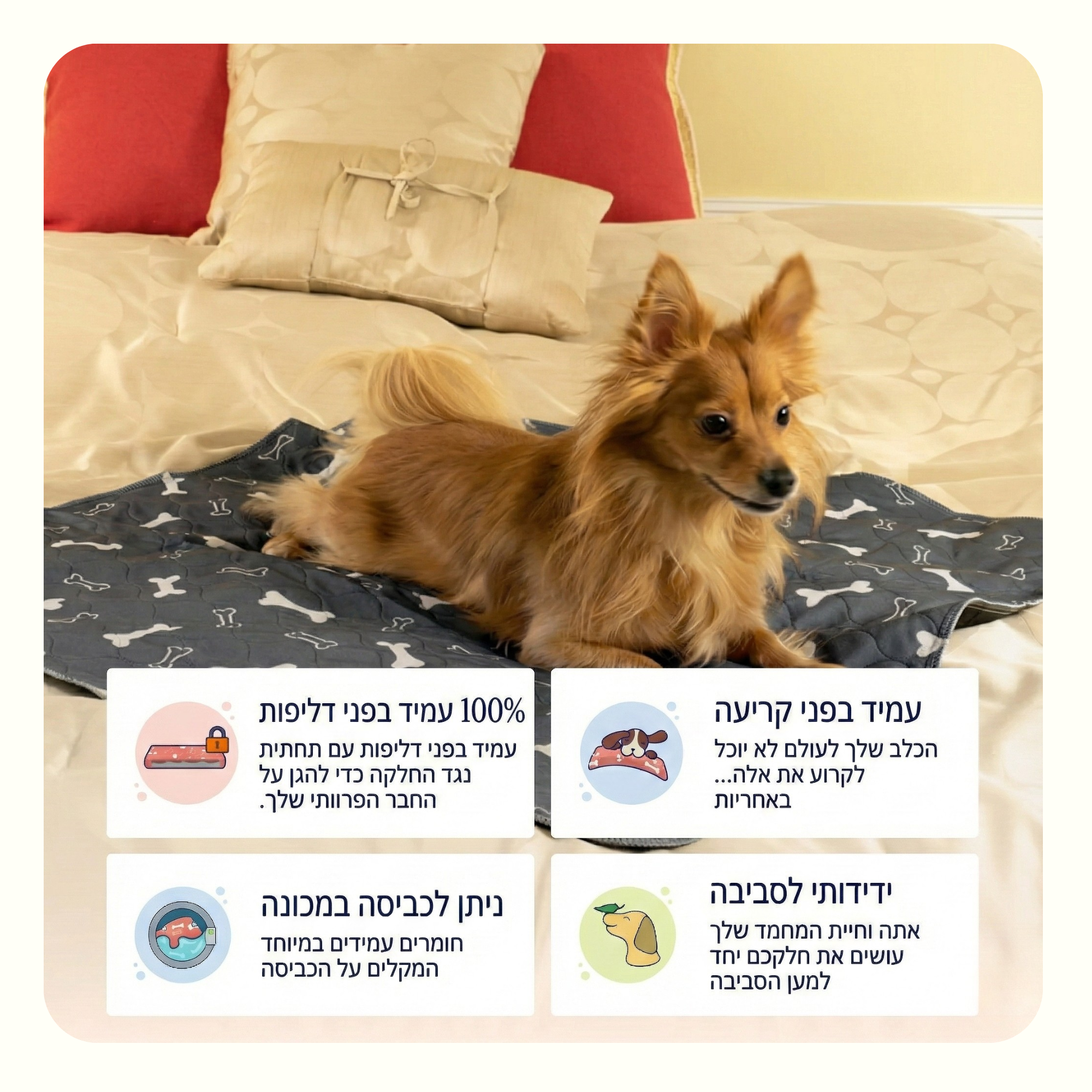 פאפי פד - פד השתן האחרון שתקנו