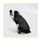 מעיל פאפי לכלב