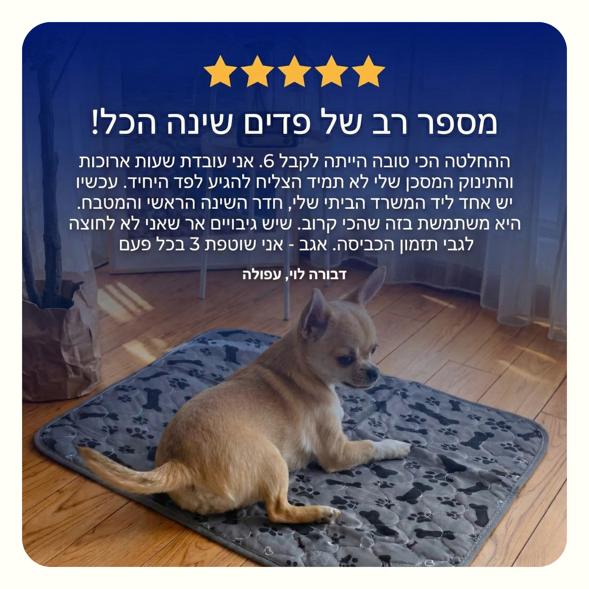 פאפי פד - פד השתן האחרון שתקנו