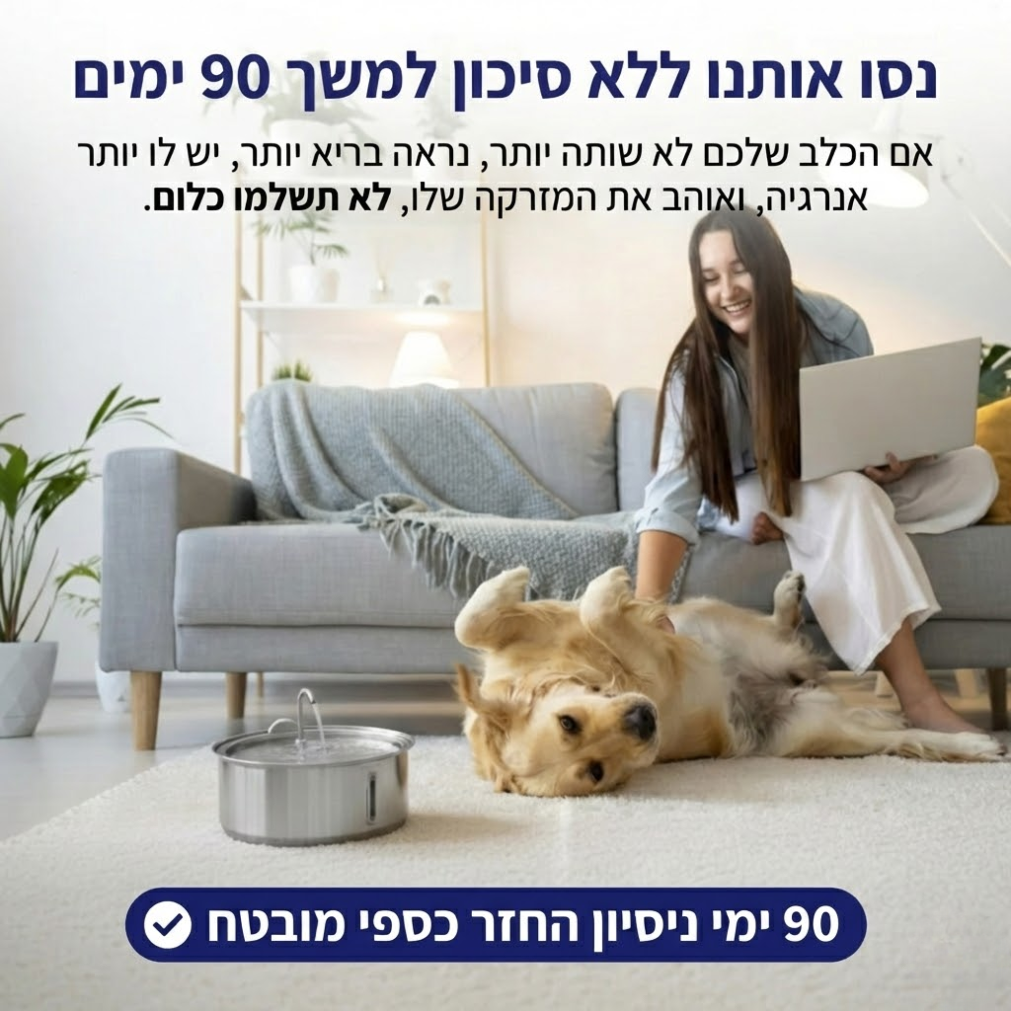 מזרקת מים לכלב
