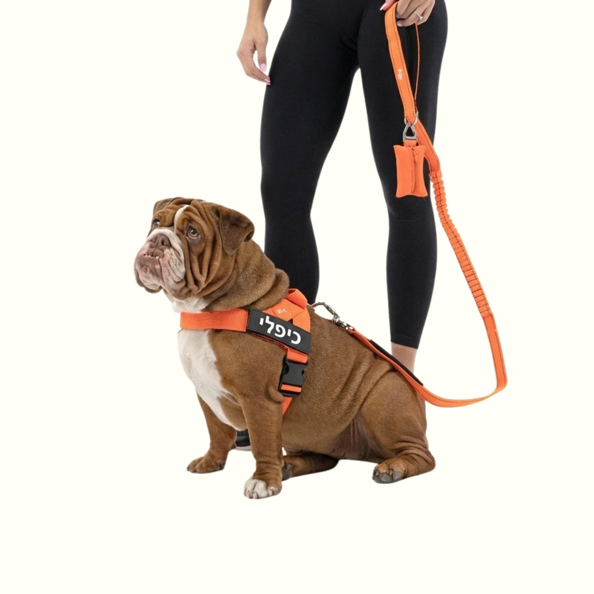 רתמת פאפי לכלב