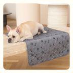 פאפי פד - פד השתן האחרון שתקנו