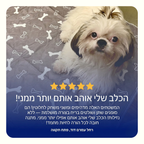 פאפי פד - פד השתן האחרון שתקנו