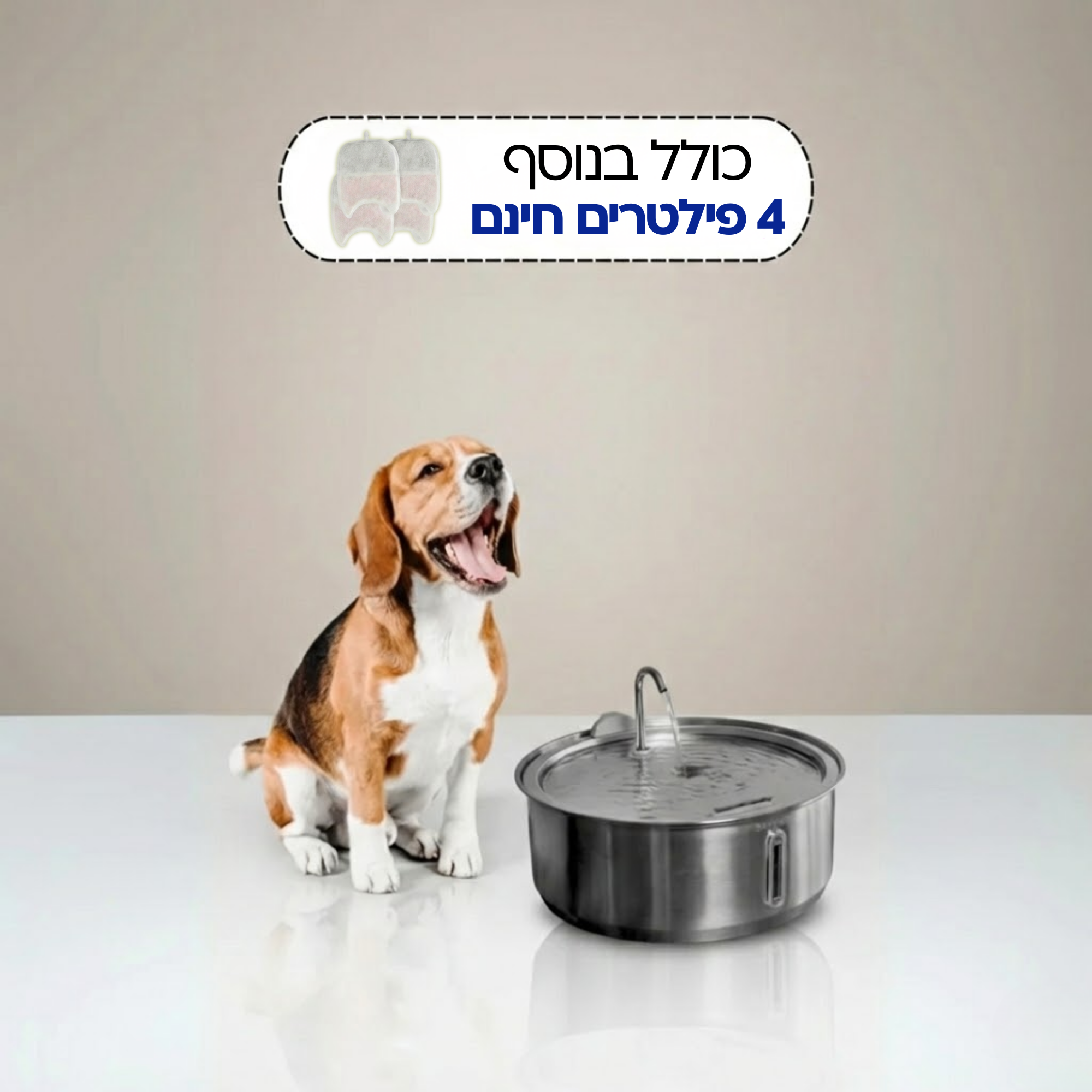 מזרקת מים לכלב
